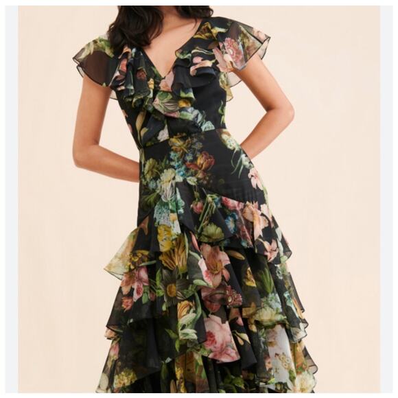 Anthropologie/Pankaj & Nidhi Floral Chiffon Ruffle Maxi Dress Size Small - Picture 1 of 9